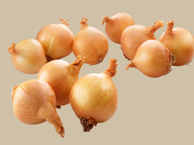 Onion Export