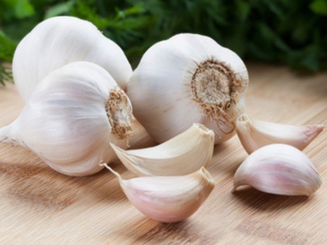 Onion Export